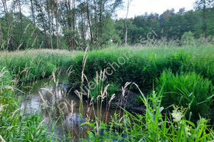 Dom na sprzedaż 100m2 miński Dobre Gęsianka - zdjęcie 3