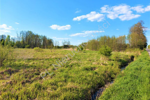 Działka na sprzedaż 2900m2 miński Mrozy Mała Wieś - zdjęcie 1