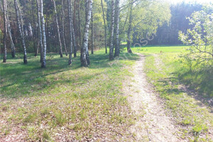 Działka na sprzedaż 3052m2 miński Jakubów Szczytnik - zdjęcie 3