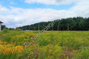 Działka na sprzedaż 1379m2 miński Mińsk Mazowiecki Targówka - zdjęcie 3