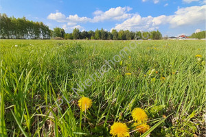 Działka na sprzedaż 2107m2 miński Mińsk Mazowiecki Józefów - zdjęcie 3