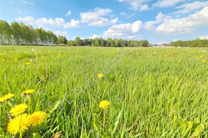 Działka na sprzedaż 1207m2 miński Mińsk Mazowiecki Józefów - zdjęcie 2