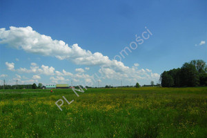 Działka na sprzedaż 10900m2 miński Jakubów Tymoteuszew - zdjęcie 3