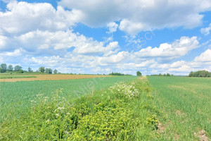 Działka na sprzedaż 1353m2 miński Cegłów Wiciejów - zdjęcie 2