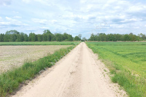 Działka na sprzedaż 1000m2 miński Siennica Dłużew - zdjęcie 2