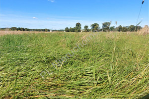 Działka na sprzedaż 1038m2 miński Dębe Wielkie Celinów - zdjęcie 1