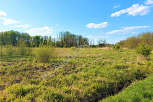 Działka na sprzedaż 2900m2 miński Mrozy Mała Wieś - zdjęcie 2