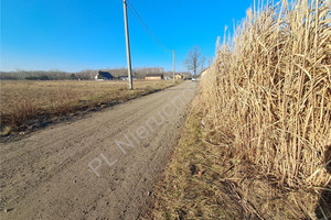 Działka na sprzedaż 1200m2 miński Dębe Wielkie Kąty Goździejewskie Drugie - zdjęcie 2