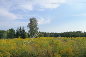 Działka na sprzedaż 4295m2 miński Dobre Mlęcin - zdjęcie 3