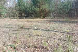 Działka na sprzedaż 5300m2 miński Stanisławów - zdjęcie 2