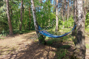 Działka na sprzedaż 3900m2 miński Mińsk Mazowiecki Chochół - zdjęcie 1