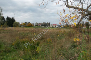 Działka na sprzedaż 3499m2 miński Stanisławów - zdjęcie 2