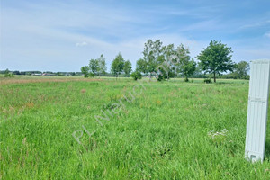 Działka na sprzedaż 1085m2 miński Dobre Sołki - zdjęcie 2