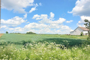 Działka na sprzedaż 1460m2 miński Cegłów Wiciejów - zdjęcie 3