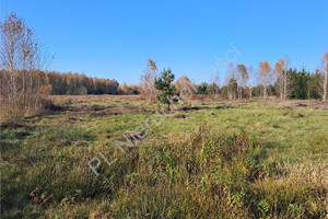 Działka na sprzedaż 45265m2 miński Mińsk Mazowiecki Stare Zakole - zdjęcie 3