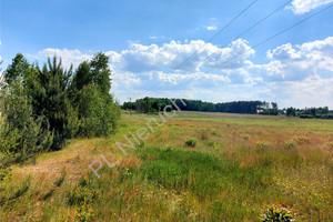 Działka na sprzedaż 1000m2 miński Dębe Wielkie Cyganka - zdjęcie 1