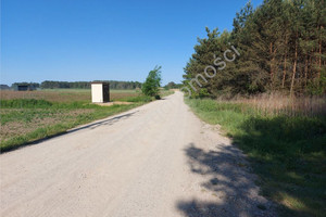 Działka na sprzedaż 12200m2 miński Kałuszyn Olszewice - zdjęcie 2