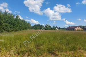 Działka na sprzedaż 1153m2 miński Mińsk Mazowiecki Dziękowizna - zdjęcie 3