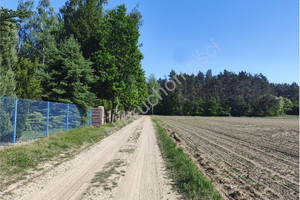 Działka na sprzedaż 4900m2 miński Mrozy Jeruzal - zdjęcie 3