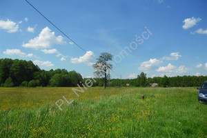 Działka na sprzedaż 10900m2 miński Jakubów Tymoteuszew - zdjęcie 2