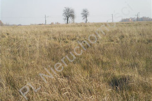 Działka na sprzedaż 4788m2 miński Mińsk Mazowiecki - zdjęcie 4