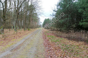 Działka na sprzedaż 31700m2 miński Dobre Rudzienko - zdjęcie 2