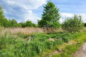 Działka na sprzedaż 800m2 miński Halinów Krzewina - zdjęcie 2