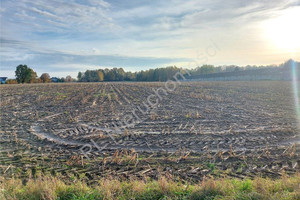 Działka na sprzedaż 18500m2 miński Jakubów Moczydła - zdjęcie 3