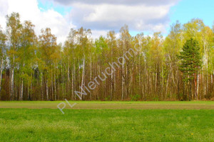 Działka na sprzedaż 1016m2 miński Stanisławów Borek Czarniński - zdjęcie 3