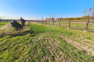 Działka na sprzedaż 3050m2 miński Mińsk Mazowiecki Budy Barcząckie - zdjęcie 1