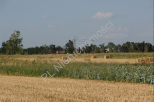 Działka na sprzedaż 16000m2 miński Halinów Wielgolas Duchnowski - zdjęcie 1