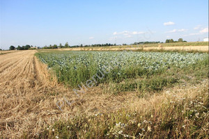 Działka na sprzedaż 16000m2 miński Halinów Wielgolas Duchnowski - zdjęcie 1