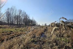 Działka na sprzedaż 900m2 miński Mińsk Mazowiecki Maliszew - zdjęcie 1