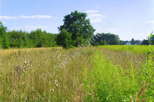 Działka na sprzedaż 2130m2 miński Dębe Wielkie Olesin - zdjęcie 1