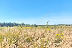 Działka na sprzedaż 1038m2 miński Dębe Wielkie Celinów - zdjęcie 3