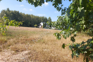 Działka na sprzedaż 5088m2 węgrowski Grębków Nowa Trzcianka - zdjęcie 1