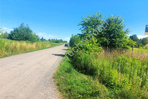 Działka na sprzedaż 1250m2 miński Dębe Wielkie Chrośla - zdjęcie 3