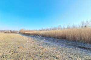 Działka na sprzedaż 1200m2 miński Dębe Wielkie Kąty Goździejewskie Drugie - zdjęcie 3