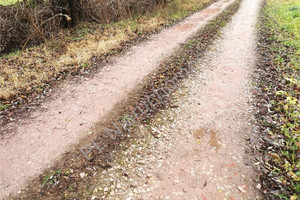 Działka na sprzedaż 2763m2 grodziski Grodzisk Mazowiecki Kozerki - zdjęcie 2