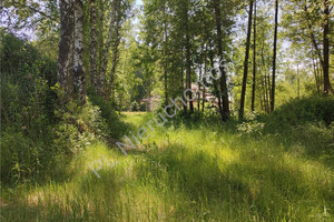 Działka na sprzedaż 3900m2 grodziski Grodzisk Mazowiecki Czarny Las - zdjęcie 2