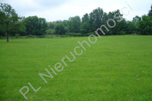 Działka na sprzedaż 1001m2 pruszkowski Brwinów Żółwin - zdjęcie 2