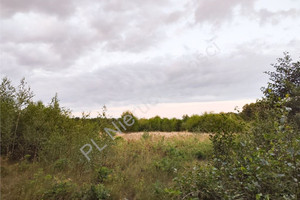 Działka na sprzedaż 1500m2 grodziski Grodzisk Mazowiecki Janinów - zdjęcie 2