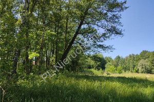 Działka na sprzedaż 3900m2 grodziski Grodzisk Mazowiecki Czarny Las - zdjęcie 1