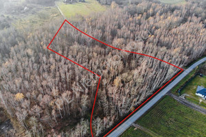 Działka na sprzedaż 15400m2 grodziski Jaktorów Stare Budy - zdjęcie 1