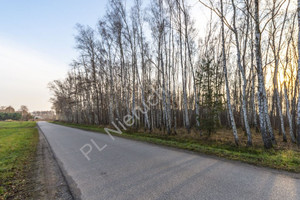 Działka na sprzedaż 15400m2 grodziski Jaktorów Stare Budy - zdjęcie 1