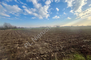 Działka na sprzedaż 5000m2 warszawski zachodni Leszno Plewniak - zdjęcie 3