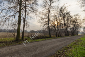 Działka na sprzedaż 8800m2 grodziski Jaktorów Stare Budy - zdjęcie 1