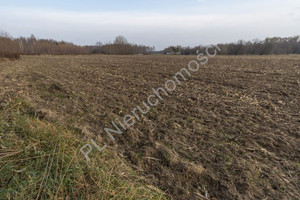 Działka na sprzedaż 8800m2 grodziski Jaktorów Stare Budy - zdjęcie 3