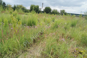 Działka na sprzedaż 2729m2 warszawski zachodni Błonie - zdjęcie 2