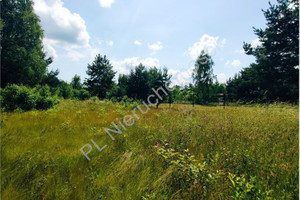 Działka na sprzedaż 1131m2 grodziski Jaktorów Stare Budy - zdjęcie 3